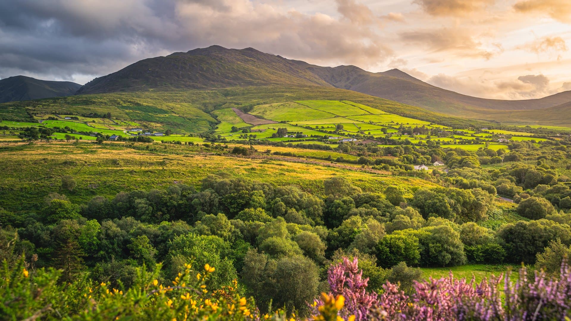 Die zweite Staffel des Netflix-Erfolgs "Wednesday" wurde in Irland gedreht.