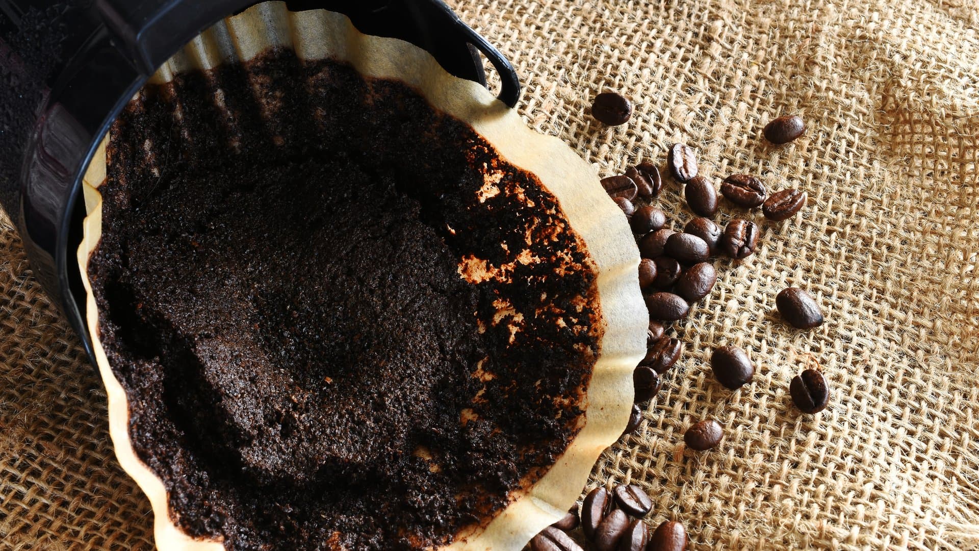 Kaffeesatz muss nicht im Müll landen.