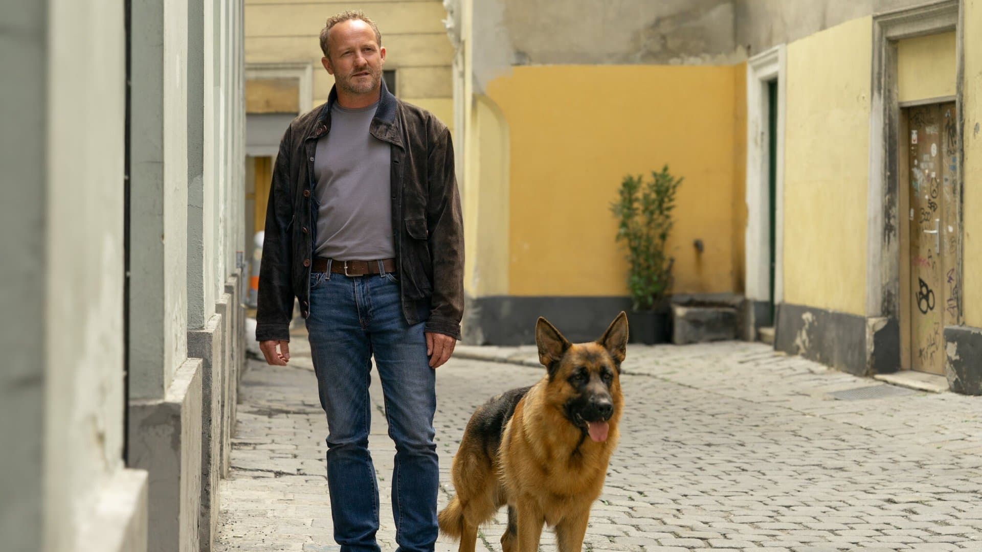 Maximilian Brückner and Kommissar Rex will continue investigating.