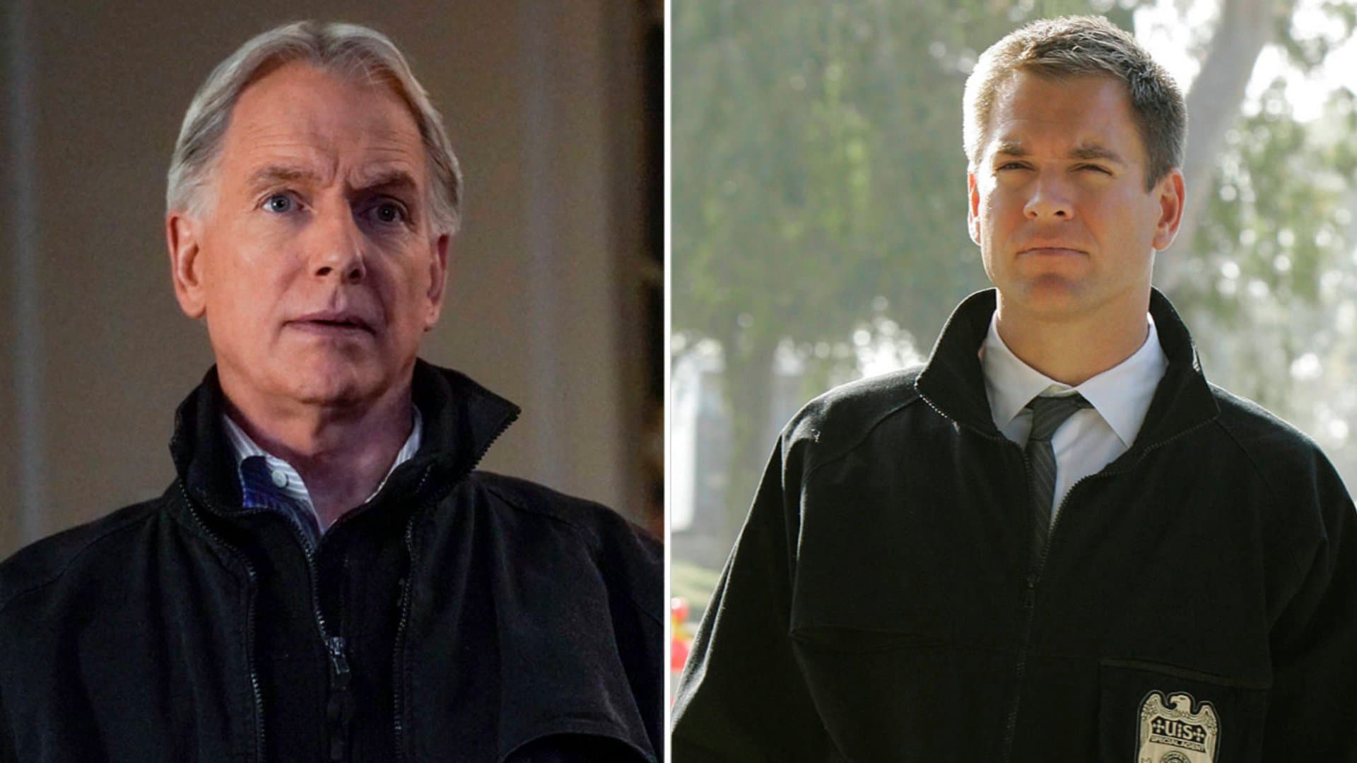 Mark Harmon and Michael Weatherly were both featured in "Navy CIS" for many years.