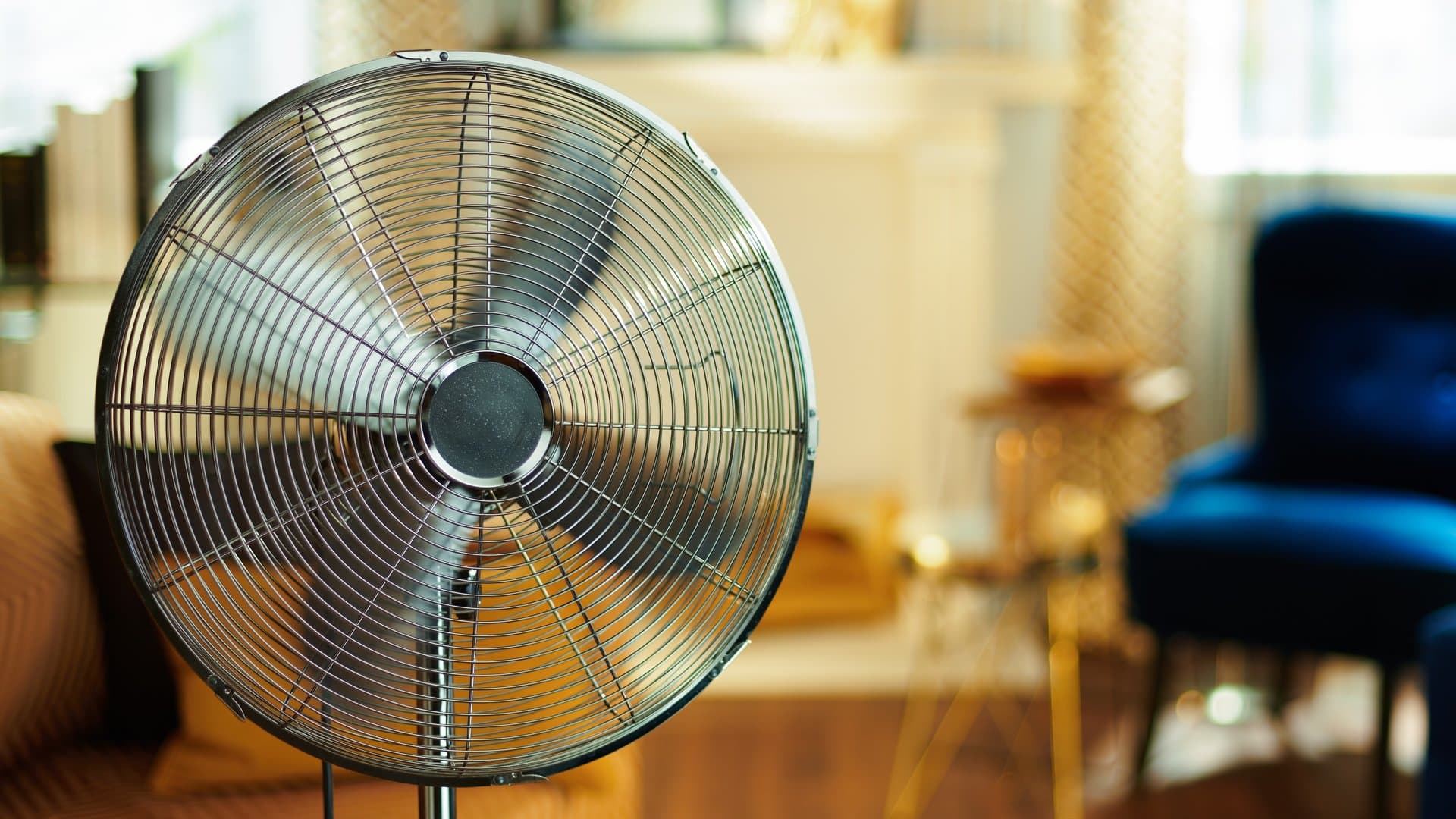 Fans are considered energy hogs. But is that true?