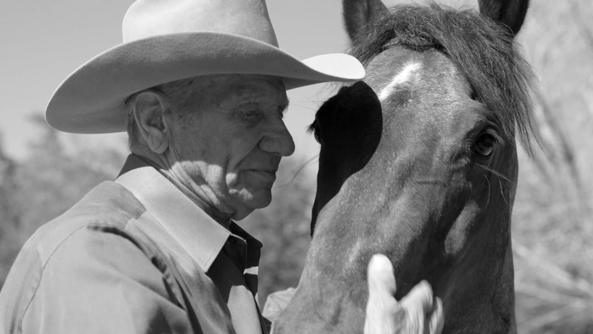 Monty Roberts galt als der bekannteste Pferdeflüsterer der Welt.