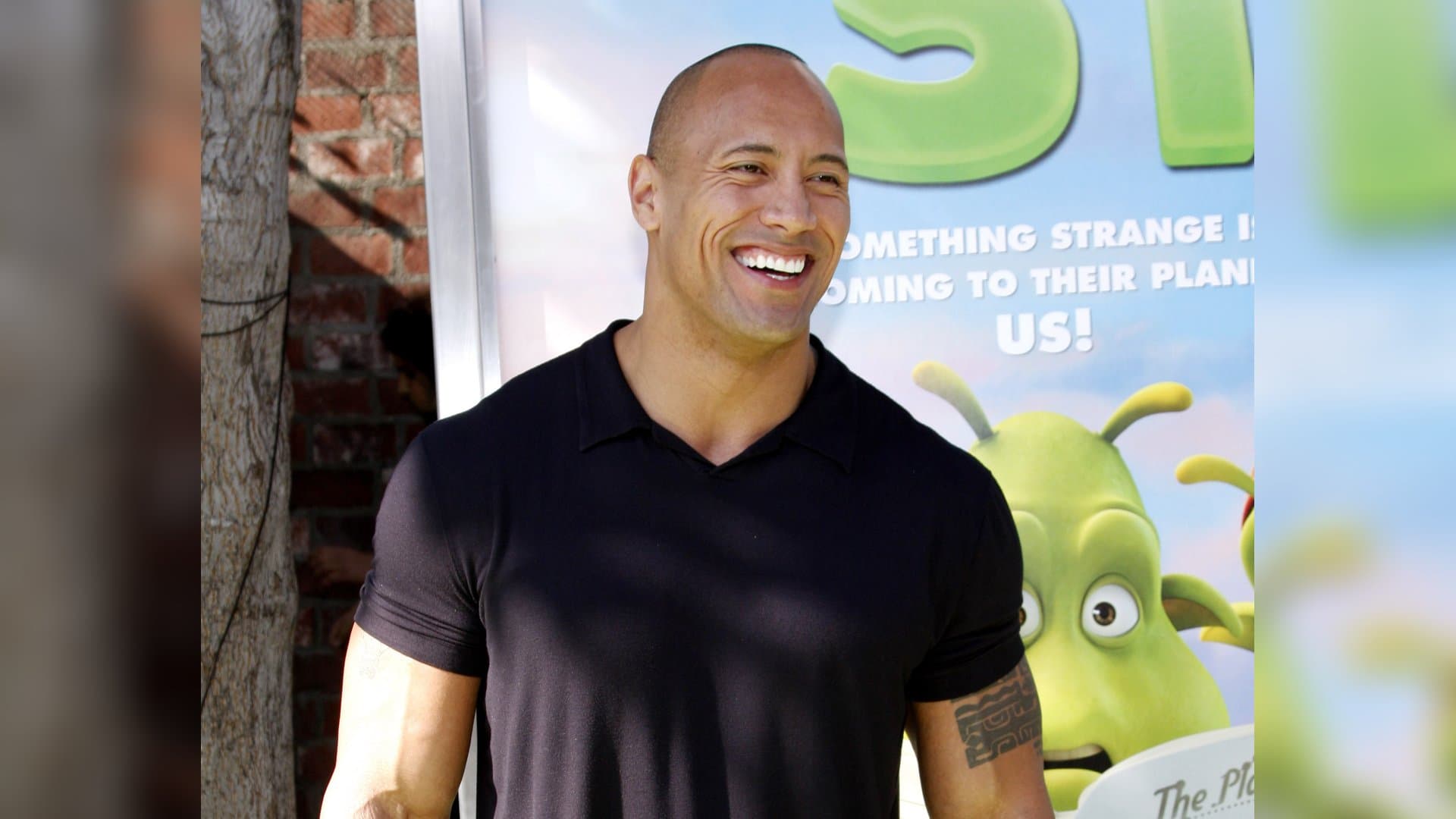 Before Dwayne 'The Rock' Johnson began his acting career, he was a successful wrestler. In his films, the muscleman can often be seen topless. These Hollywood stars are also known for their muscles.