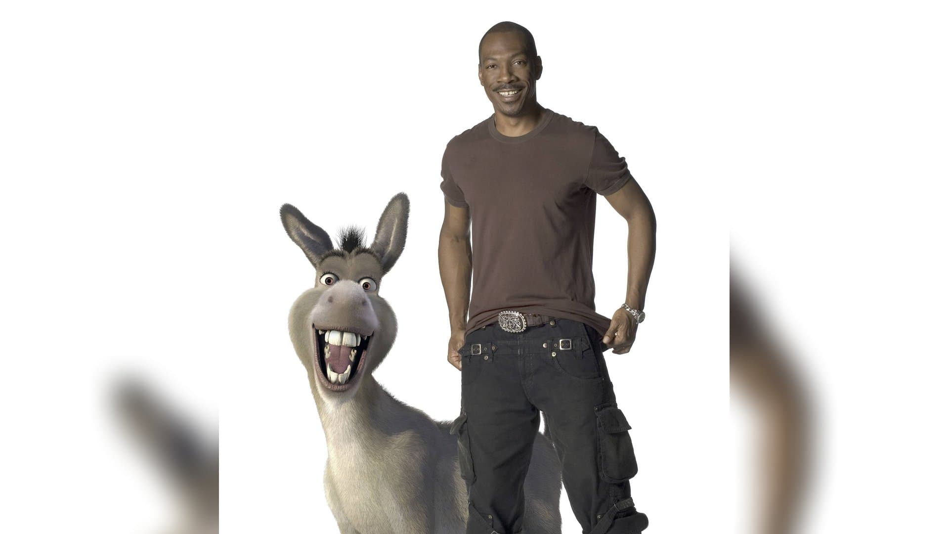 Eddie Murphy's furry "Shrek" donkey gets his own cinematic adventure in 2028.