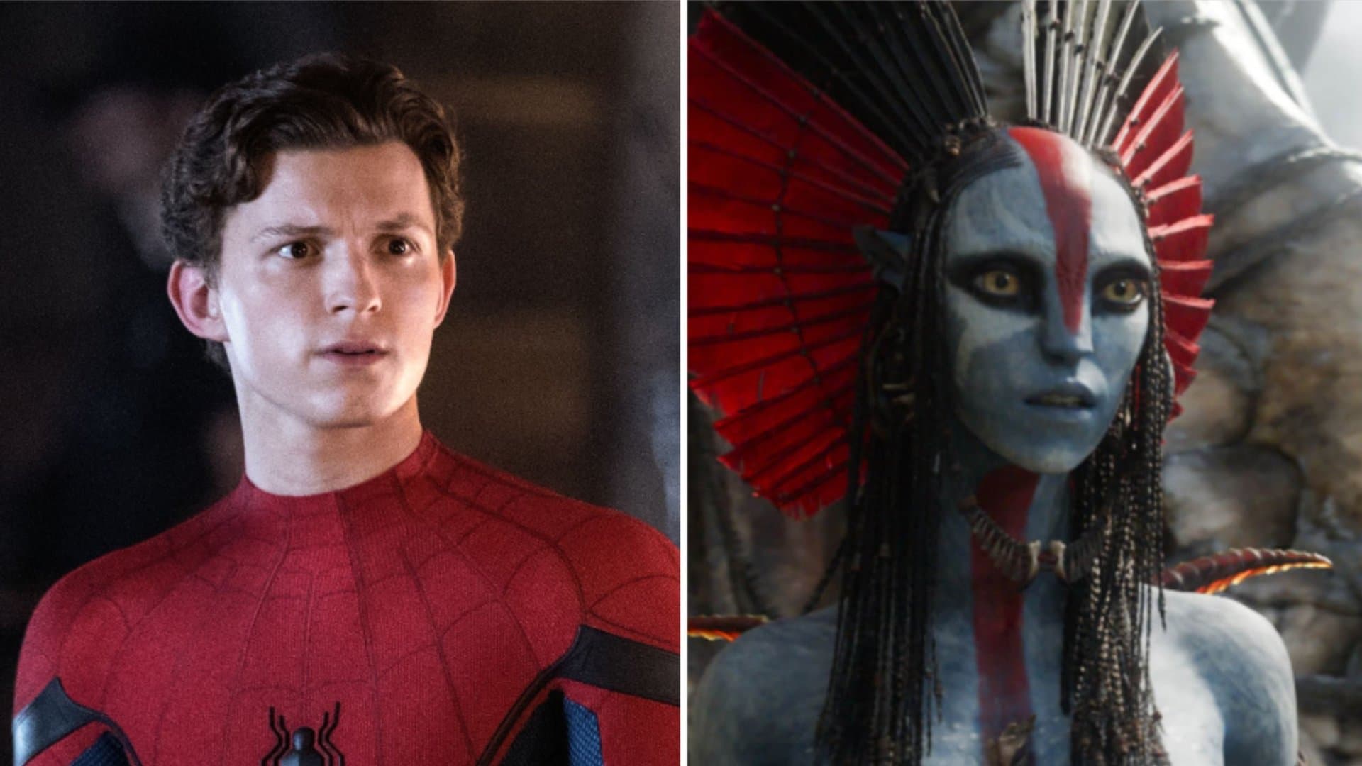 "Spider-Man" (l.) and "Avatar" are guaranteed box office gold.