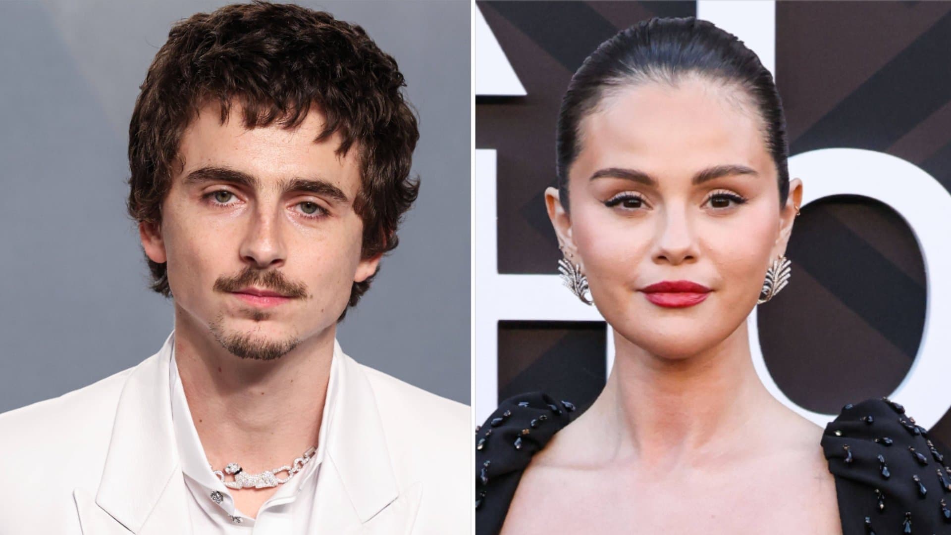 Timothée Chalamet and Selena Gomez are the stars of "Not Alone".