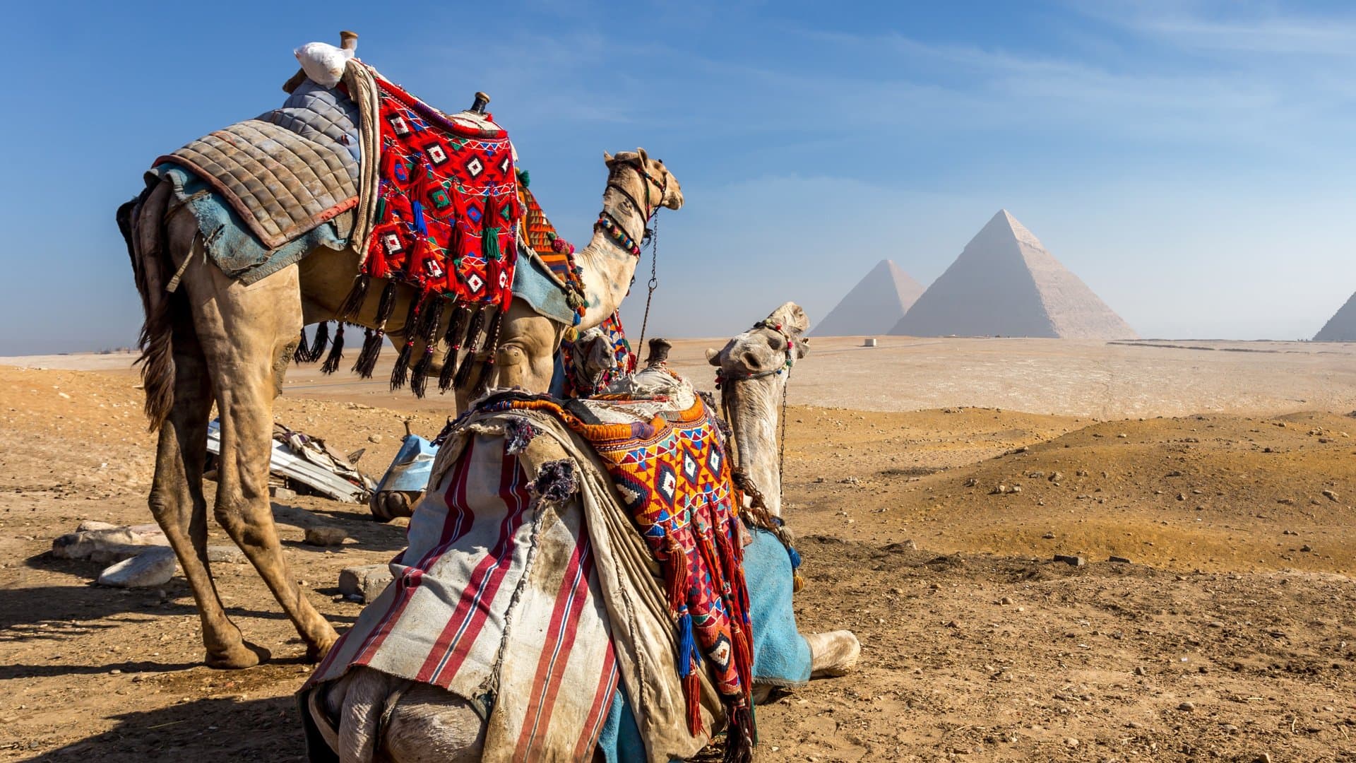 Wir wünschen Dir viel Freude bei Deiner Reise nach Ägypten.