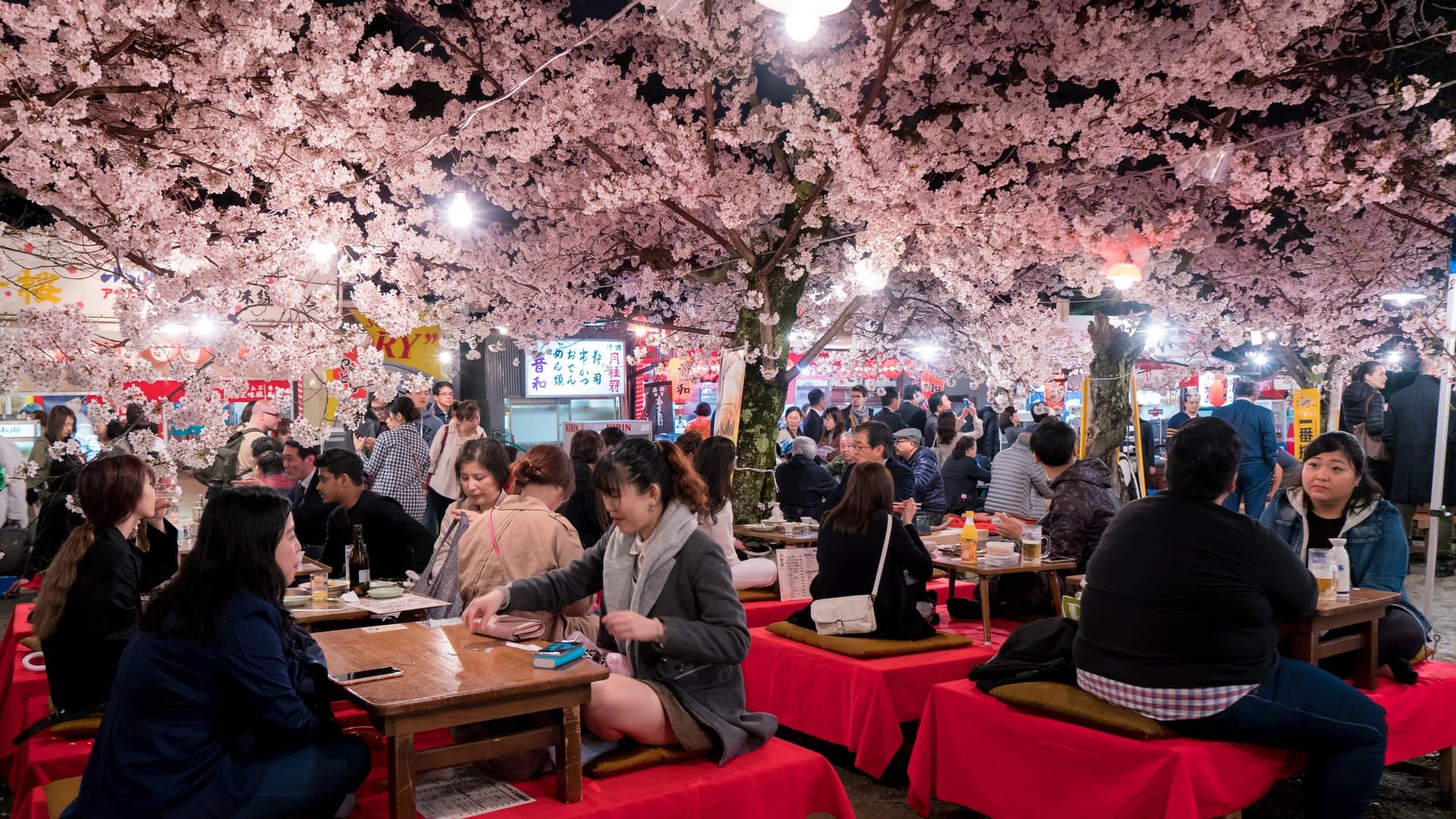 Im Frühling sorgen die Kirschbäume Kyotos für ein unvergleichliches Naturschauspiel. Im Ranking ist die Stadt nur einer von drei Orten aus Japan, die sich einen Top-Rang schnappen.